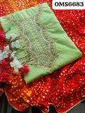 Organza Silk Hand Embroidered 2 pc Suit (No Dupatta)